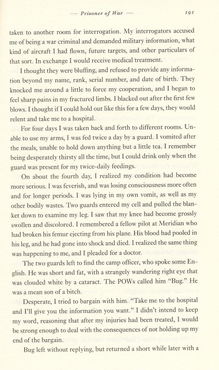 pg191.jpg (360942 bytes)